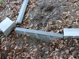 image of grave number 826708
